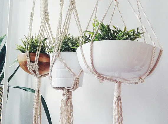 Close-up of intricate macrame knots on natural cotton rope plant hanger with greenery inside a pot.