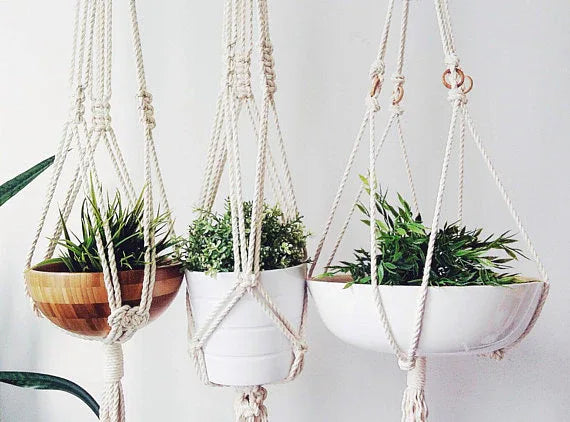Macrame plant hanger displayed hanging indoors with visible texture and pattern of the cotton rope.