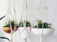 Macrame plant hanger displayed hanging indoors with visible texture and pattern of the cotton rope.