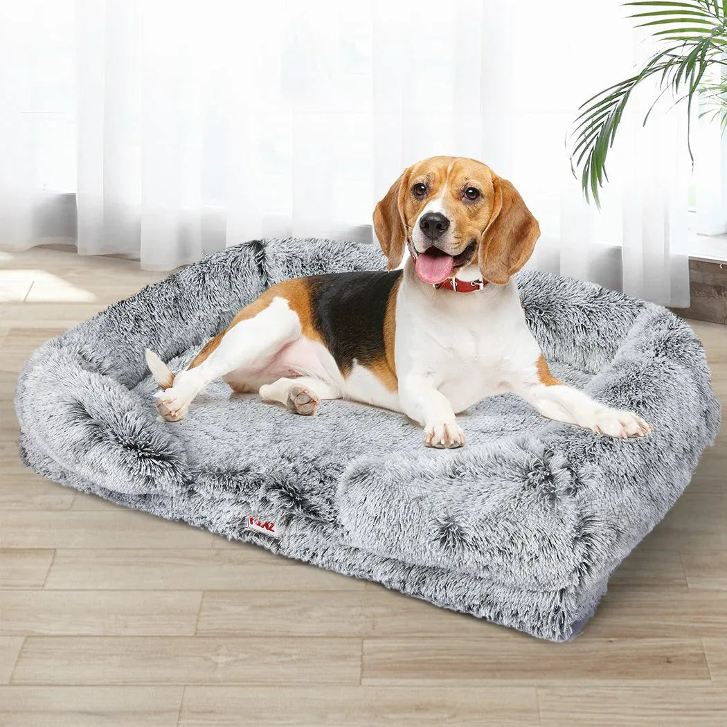 Small dog lying comfortably on soft orthopedic pet bed in a modern living room