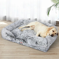 Lifestyle image of small dog curled up peacefully on orthopedic sofa pet bed