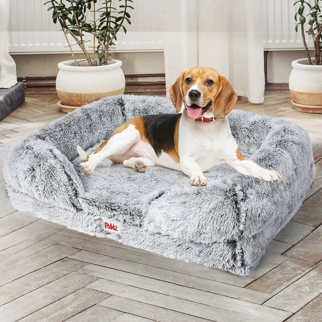 Happy dog resting on plush pet bed near window with natural light filtering in