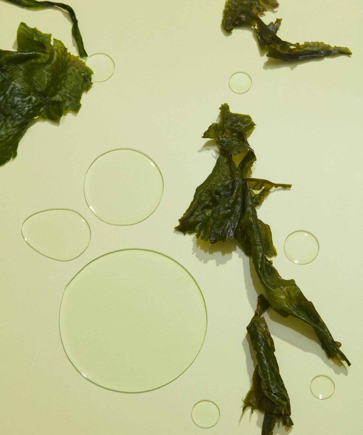 Nutrient Seaweed Wash - close-up of gentle seaweed-infused skin cleanser texture