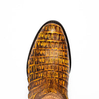 Phoenix Mustard Brown