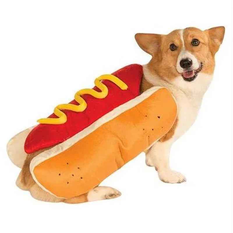 A cat wearing a cute hot dog costume with mustard detail, sitting on a white background.