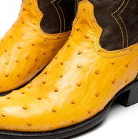 Detail of the shaft and stitchwork on the Savannah Buttercup ostrich skin cowboy boot.