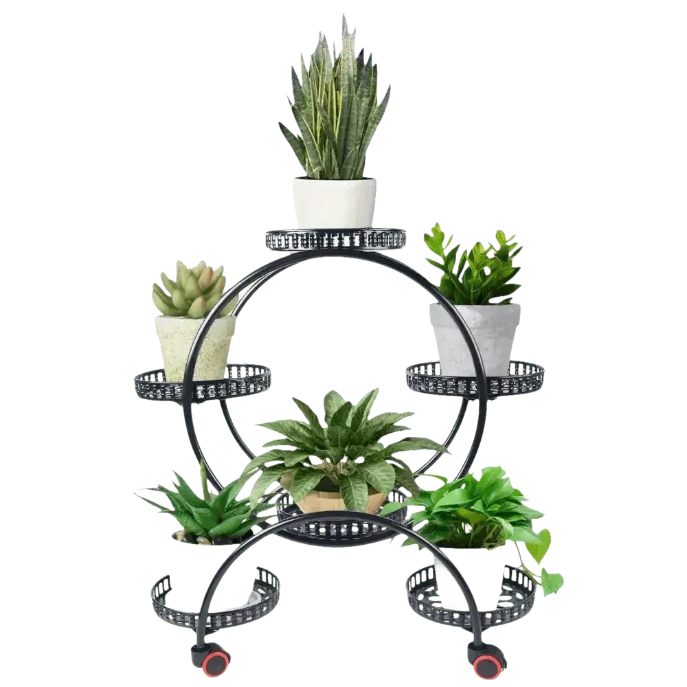 Close-up of one tier on black metal circular plant stand with a green leafy potted plant.