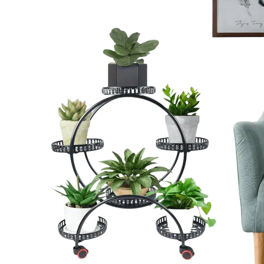 Black six-tier circular metal plant stand holding six different green potted plants in a living room corner.