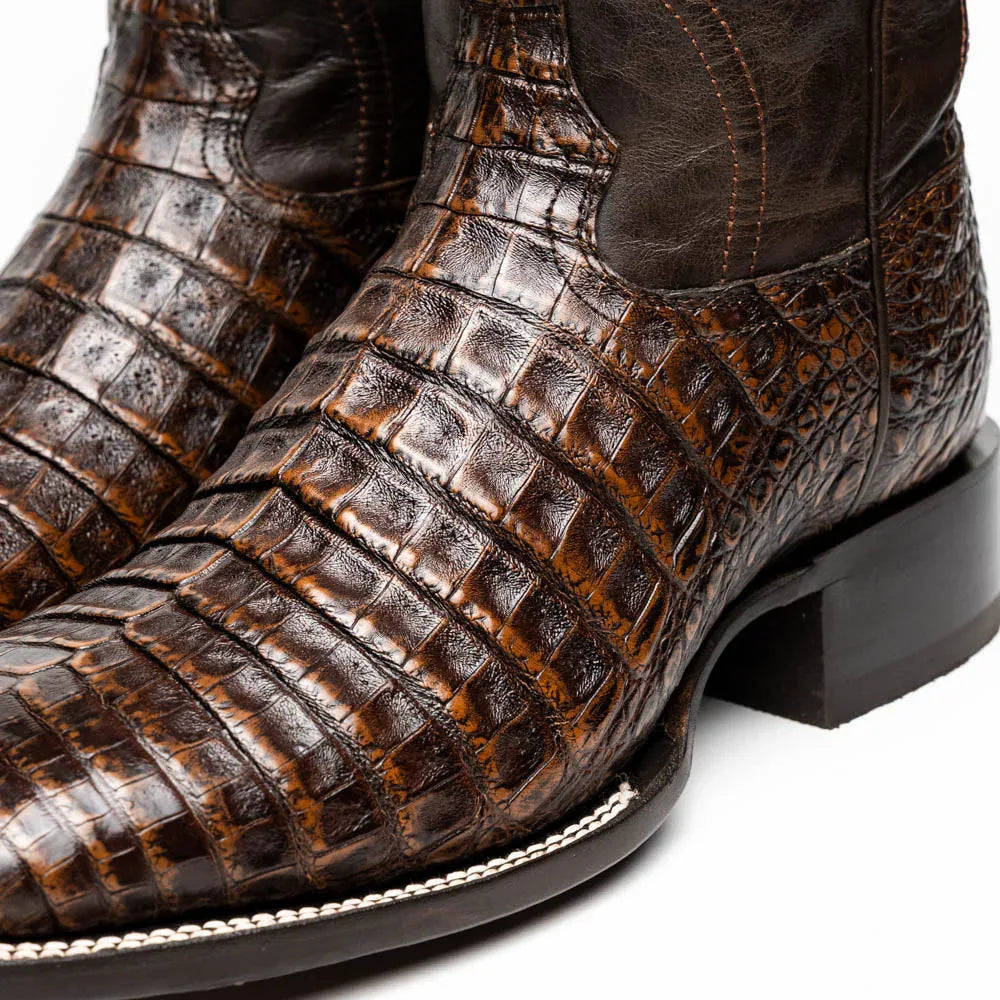 Back and side profile of Tucson genuine caiman belly skin cowboy boot in aged brown leather.